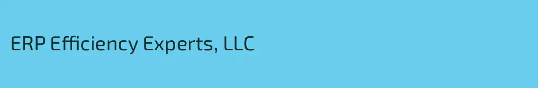 ERP Efficiency Experts, LLC